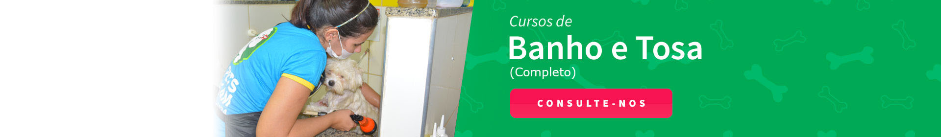 Curso Banho e Tosa Completo